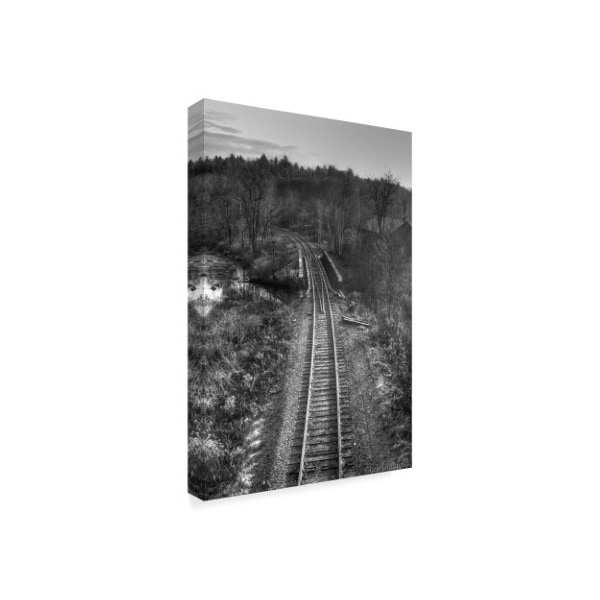 Ian Tornquist 'Lonely Tracks Grayscale' Canvas Art,30x47